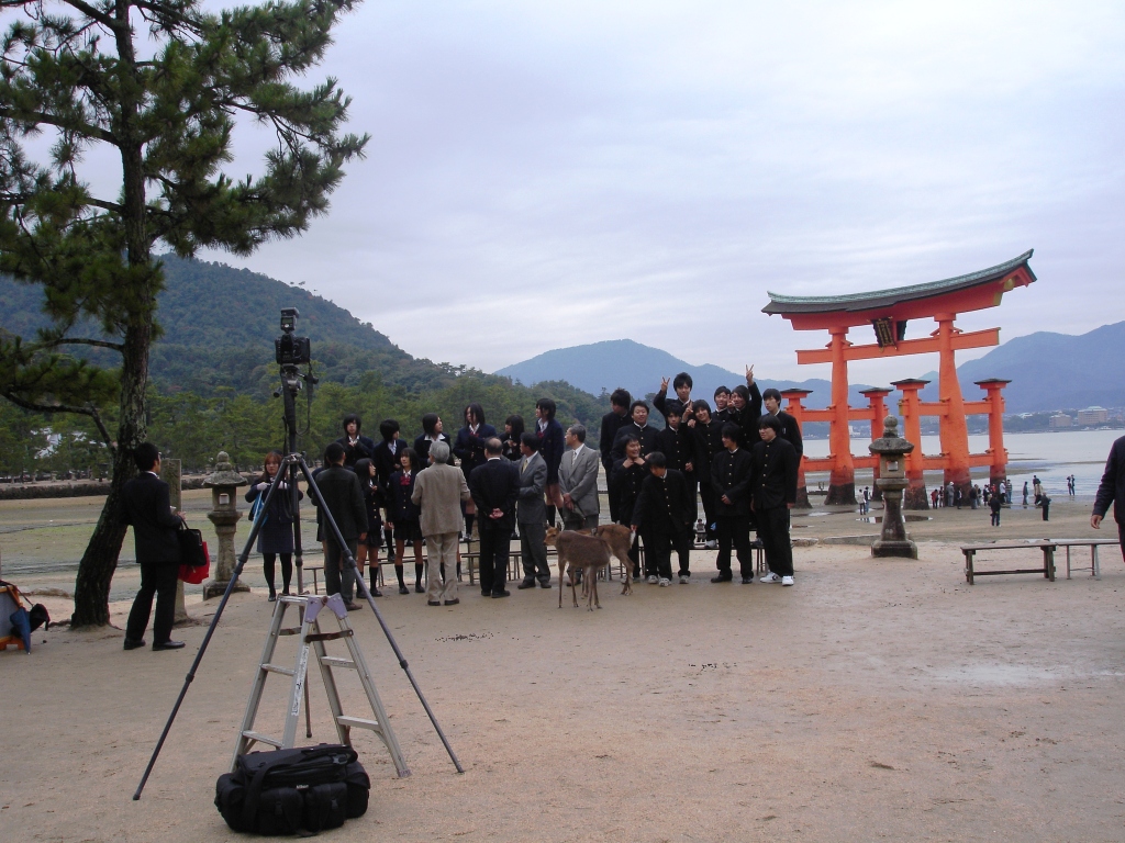 A group of students in black school uniforms, teachers in suits and a couple of deer stand for a photo in front of the famous orange torii gate at Miyajima.